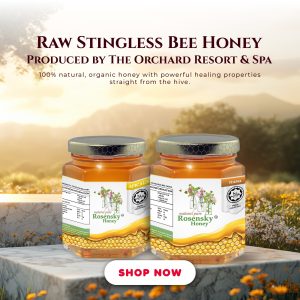RAW STINGLESS BEE HONEY